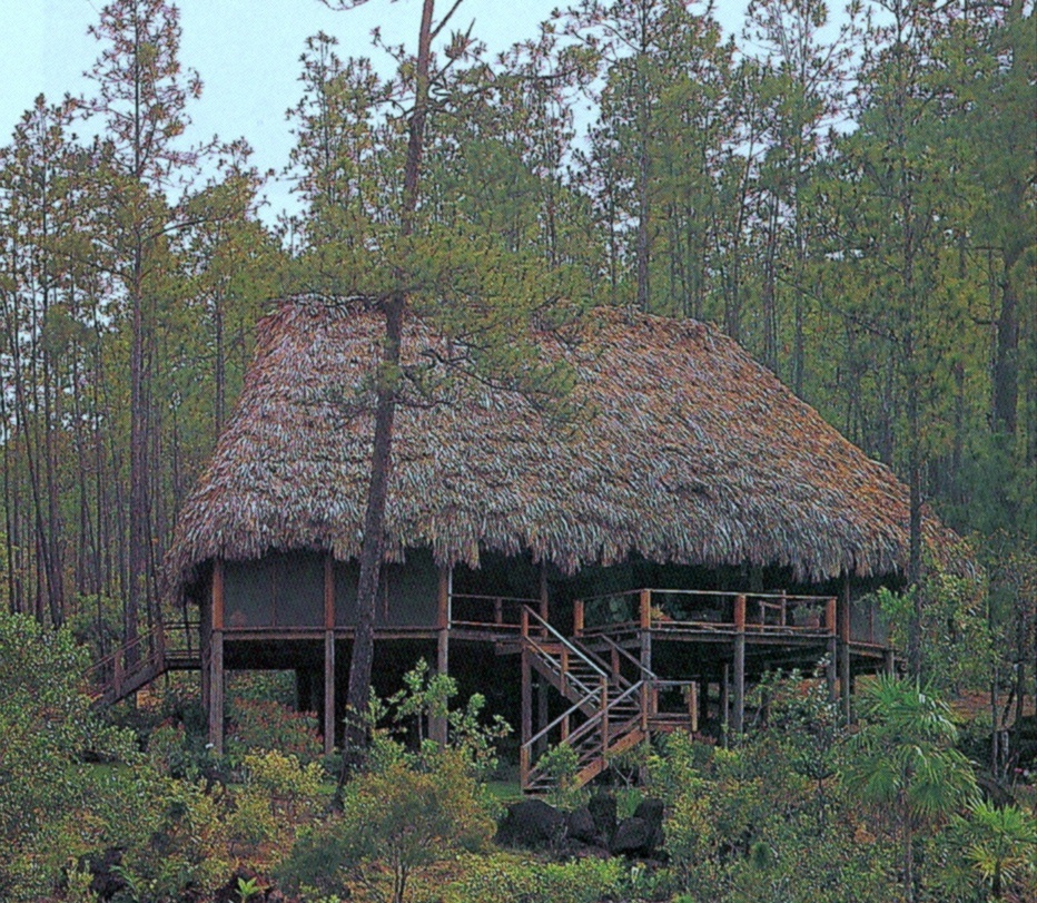 thatch building